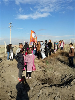 TEMA Talas Doğayı Yeşillendirmeye Devam Ediyor