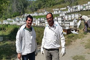 Arıcılık Desteklemelerinde Yüzde 24 Artış