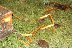 Siirt te Ayılar Arı Kovanlarına Zarar Verdi