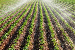 Etkin Sulama Verimli Üretim Projesi