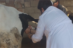 Vodafone Mobil Tarım Ekipleri Doğumda