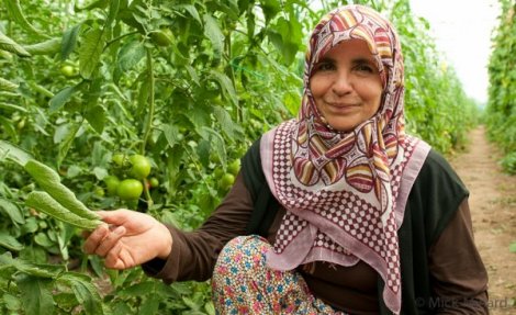 Kadın Çiftçilere Destek Geliyor