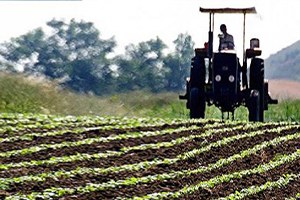 Çiftçi Toprağı Terk Ediyor