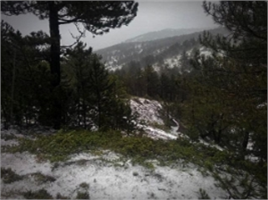 Tosya da Tarım Projesi Çalışmaları