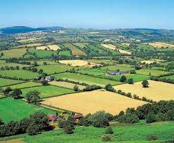 Miras İntikali Yapılamayan Tarım Arazilerine Tapu Harcı Muafiyeti Getirildi