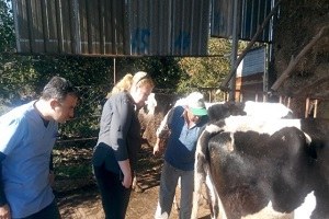 Aydın da Hayvanlardaki Çiçek Hastalığı Yerinde İncelendi