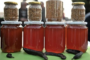 Beykoz 7 Bal Festivali