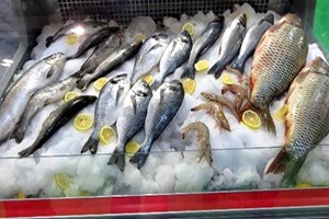 Kuzey Irak Türkiye den Su Ürünleri İstiyor