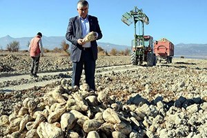 Son 10 Yılın Rekoru Kırıldı Çiftçinin Yüzü Güldü