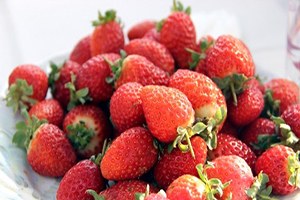 Vali Hanım Çileği Daha Tarladayken Satıldı