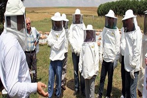 Arı Yetiştiriciliği Kursu na Yoğun İlgi