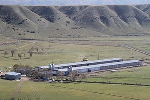 Etçi Tavuk Yetiştiriciliği Tesislerinin Yapımı Devam Ediyor