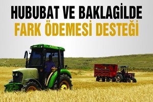 Hububat Ve Baklagiller Fark Ödemesi İcmalleri Askıya Çıktı