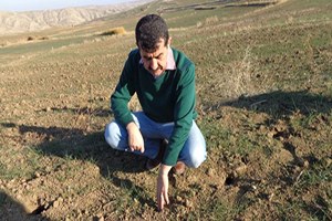 Tarla Faresi ile Mücadelenin Püf Noktası Toplu Mücadele