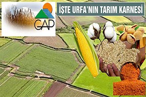 Urfa nın Yıllık Tarımsal Üretimi 5 Milyar TL