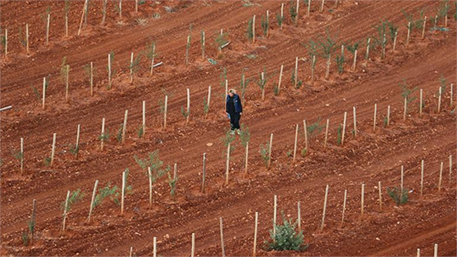 Badem İthalatı Bitecek