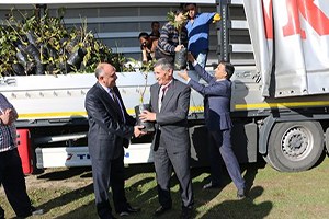 Ceviz Fidanı Dağıtımı Devam Ediyor