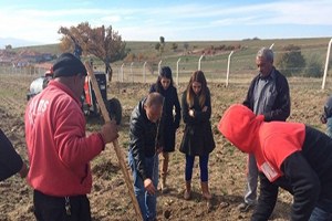 Ceviz Üretimi Kırıkkale Ekonomisine Katkı Sağlayacak