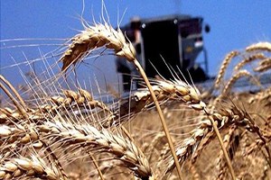 80 Milyar Liralık Destek Kayıplara Engel Olamadı