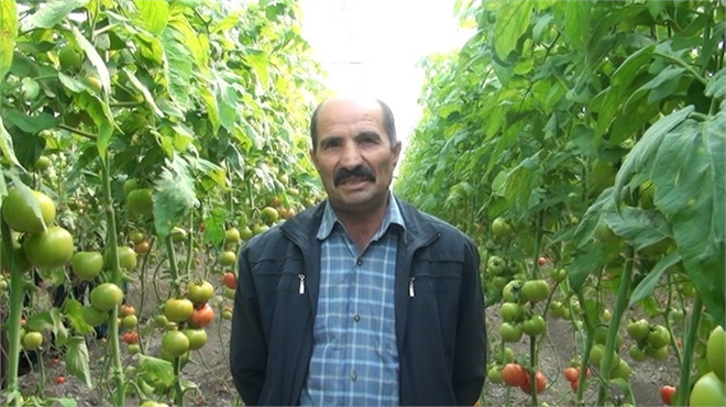 Köyünde Sera Kurdu Köylüye Örnek Oldu