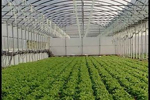 Gölova da Seracılık Projesi