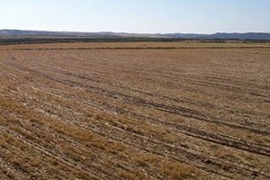 Van da Bazı Tarlalara Satılamaz Şerhi Kondu