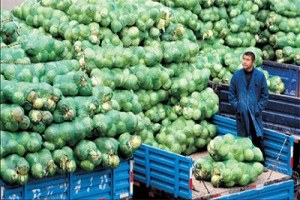 Antalya Hali nde İşler Durdu Günlük Zarar Milyonlarca Lira