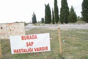 Seydişehir de Şap Karantinası
