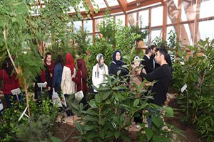 Vatandaşlara Tıbbi ve Aromatik Bitki Yetiştirilmesi Öğretiliyor