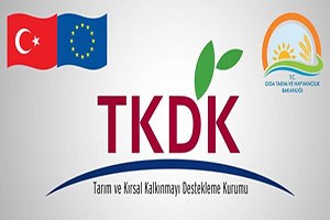 TKDK Uyardı Kamu Kurumları Dolandırılmayın