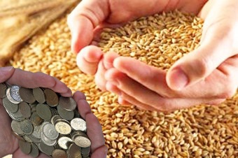 Tarım İthalatına Bağımlılık Artabilir