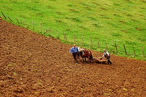 Köylülerin Toprak Savaşı Kapıda