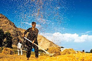 Bakliyat Alarm Veriyor