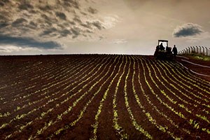 Çiftçilere Destek Uyarısı
