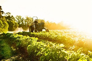 Gıda ve Tarım Alanında Ortak Çalışmalar Yapılacak
