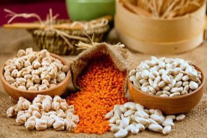 Gübre Azotu Kirliliği Krizine Karşı Bakliyat Yetiştirelim