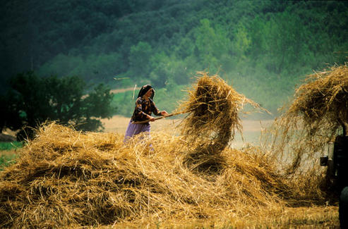 Kişi Başına Düşen Tarım Alanı Azalıyor