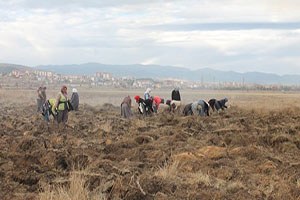 Meralar Islah Ediliyor