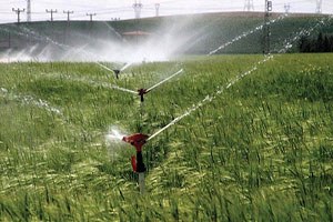 Tarım Arazilerinde Sulama Ücreti Düşürüldü
