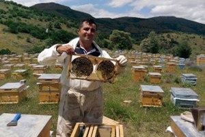 Kelkit ten Tüm Türkiye ye Organik Bal