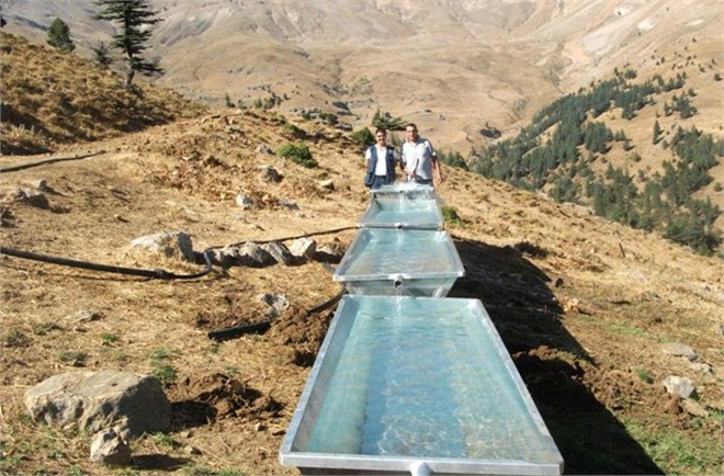 Meralara Sıvat Kurulacak