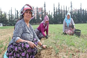 Elleri Nasırlı Ama Onlar Oksijen Melekleri