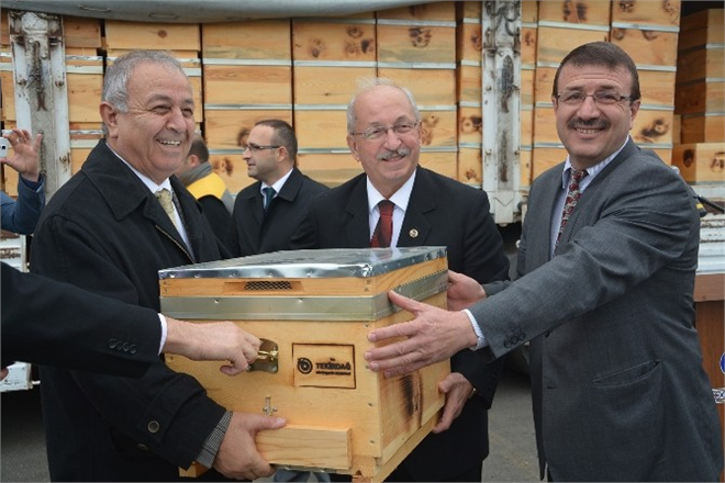 Arı Üreticilerine Kovan Desteği