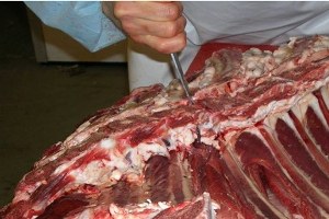 Sığır Tüberkülozu Hastalığı Var Mı Yok Mu