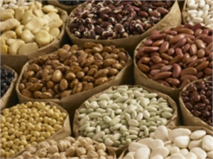 Dünyanın Gözü Bakliyatta