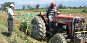 Ödemiş te Tarımsal Yapının Röntgeni Çekiliyor