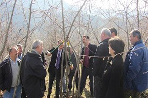 Dünyanın Fındık Gen Mirası Giresun da Korunuyor