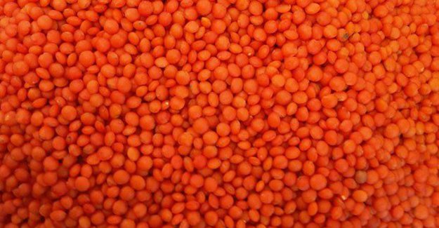 Destekler Artarak Devam Etmeli