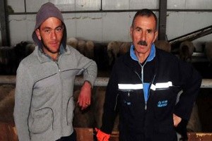 3 Bin Liraya Çalıştıracak Çoban Bulamadı Gürcistan dan Getirdi