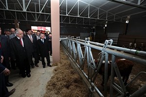 200 Başlık Besi Sığırcılığı Tesisi Törenle Açıldı